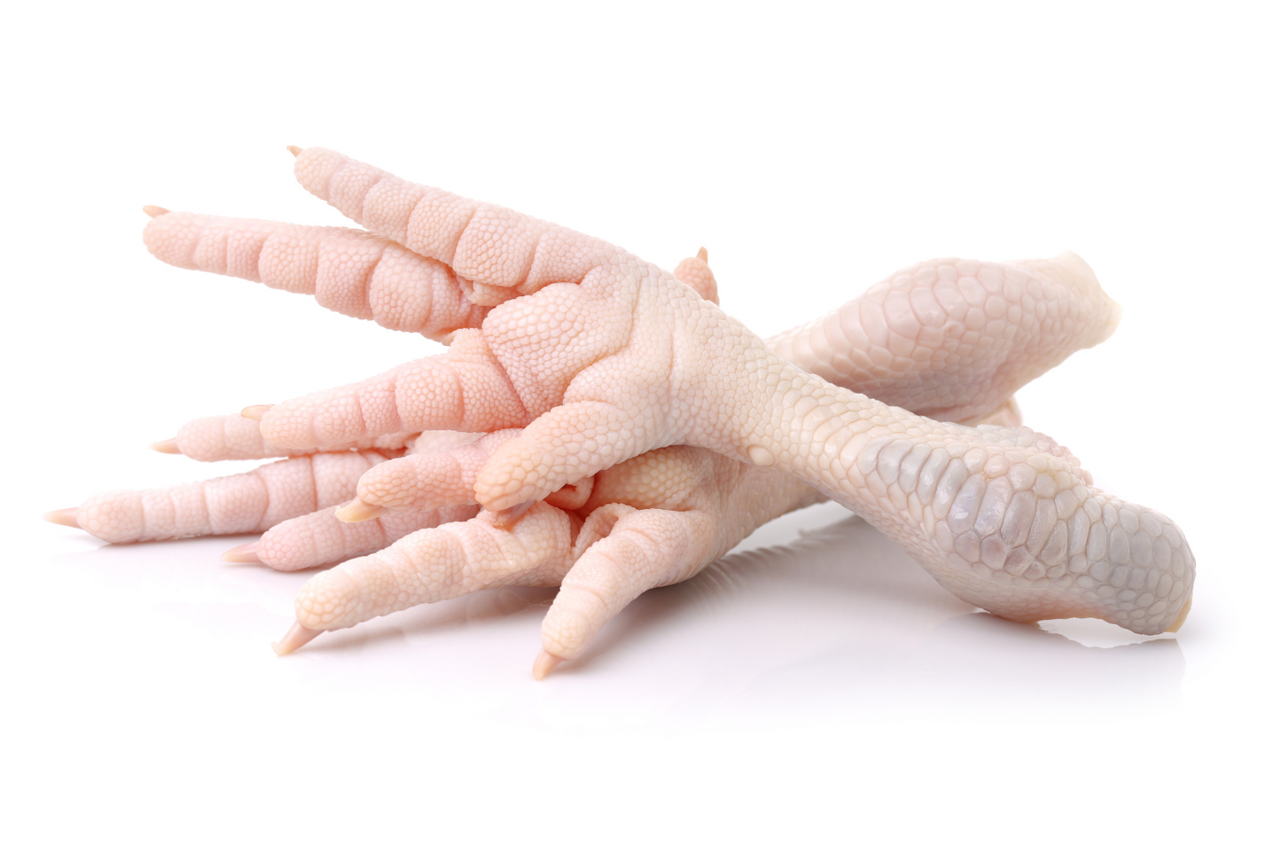 Chicken Feet - Medium Size (Frozen)